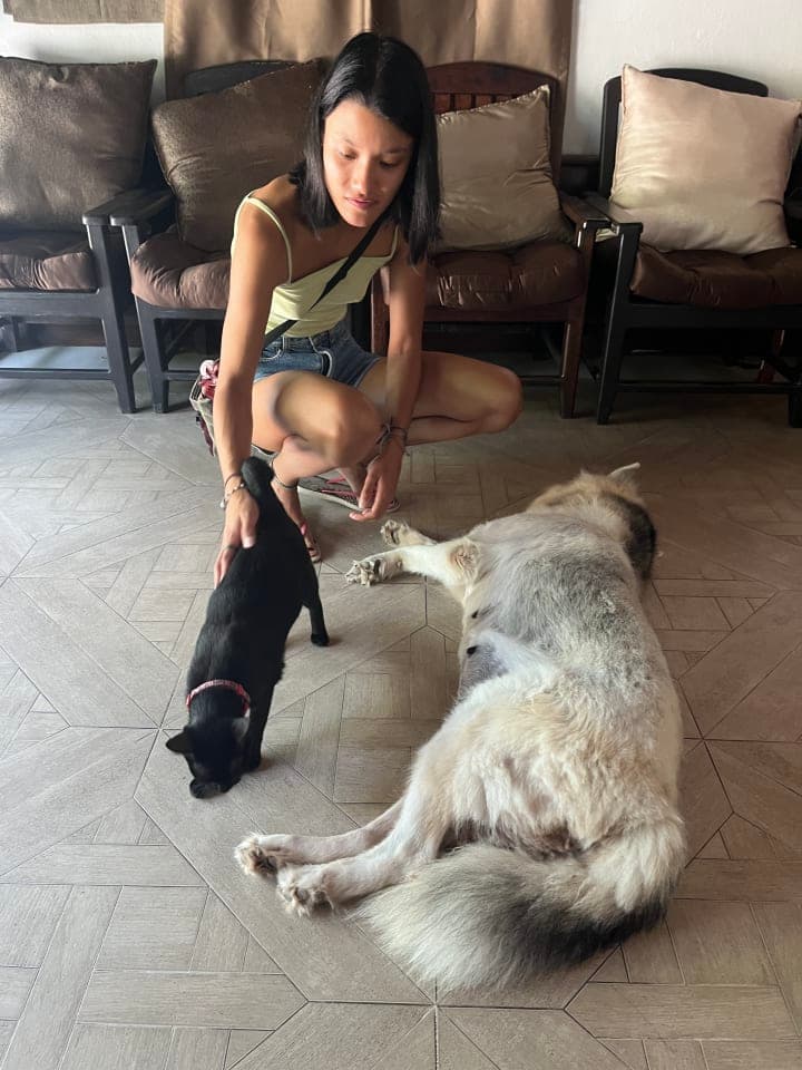 Sophie